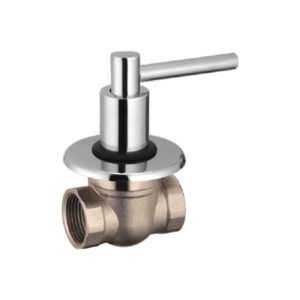 Control Valve